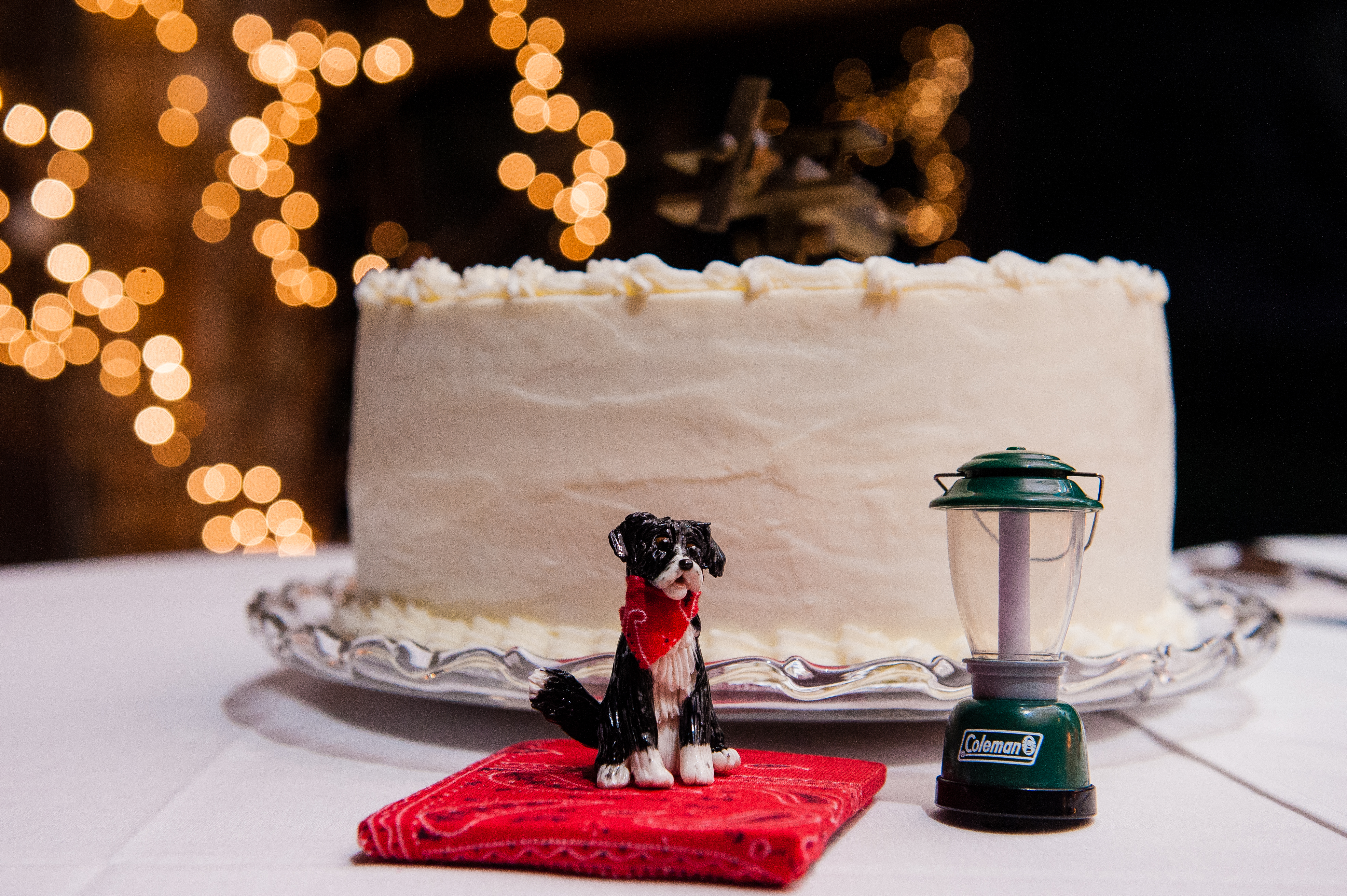 crest center wedding in asheville