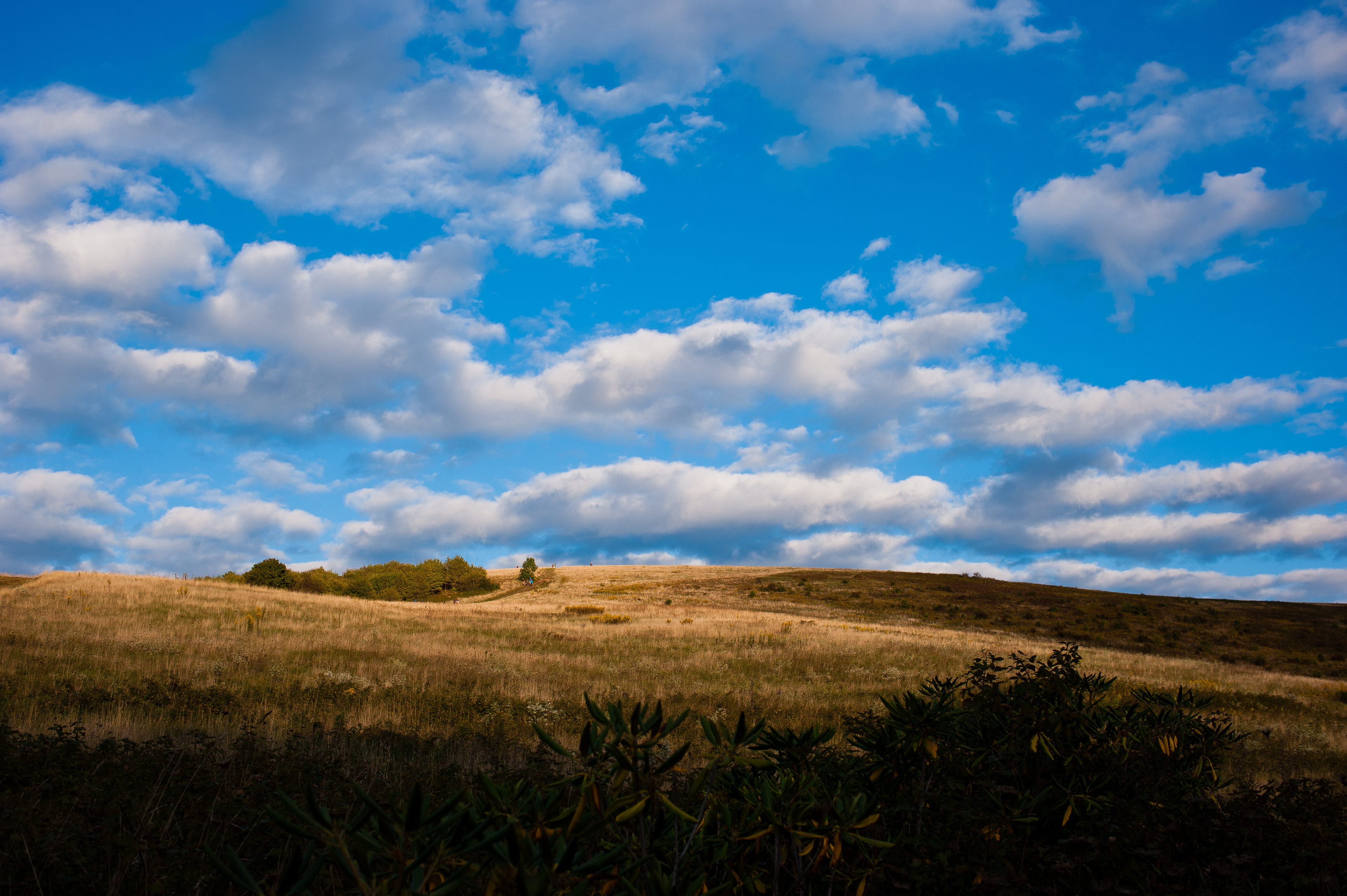 Max Patch at sunset