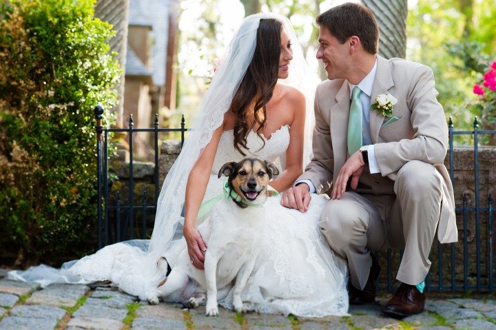 cute bride and groom pose with their dog for a quick portrait