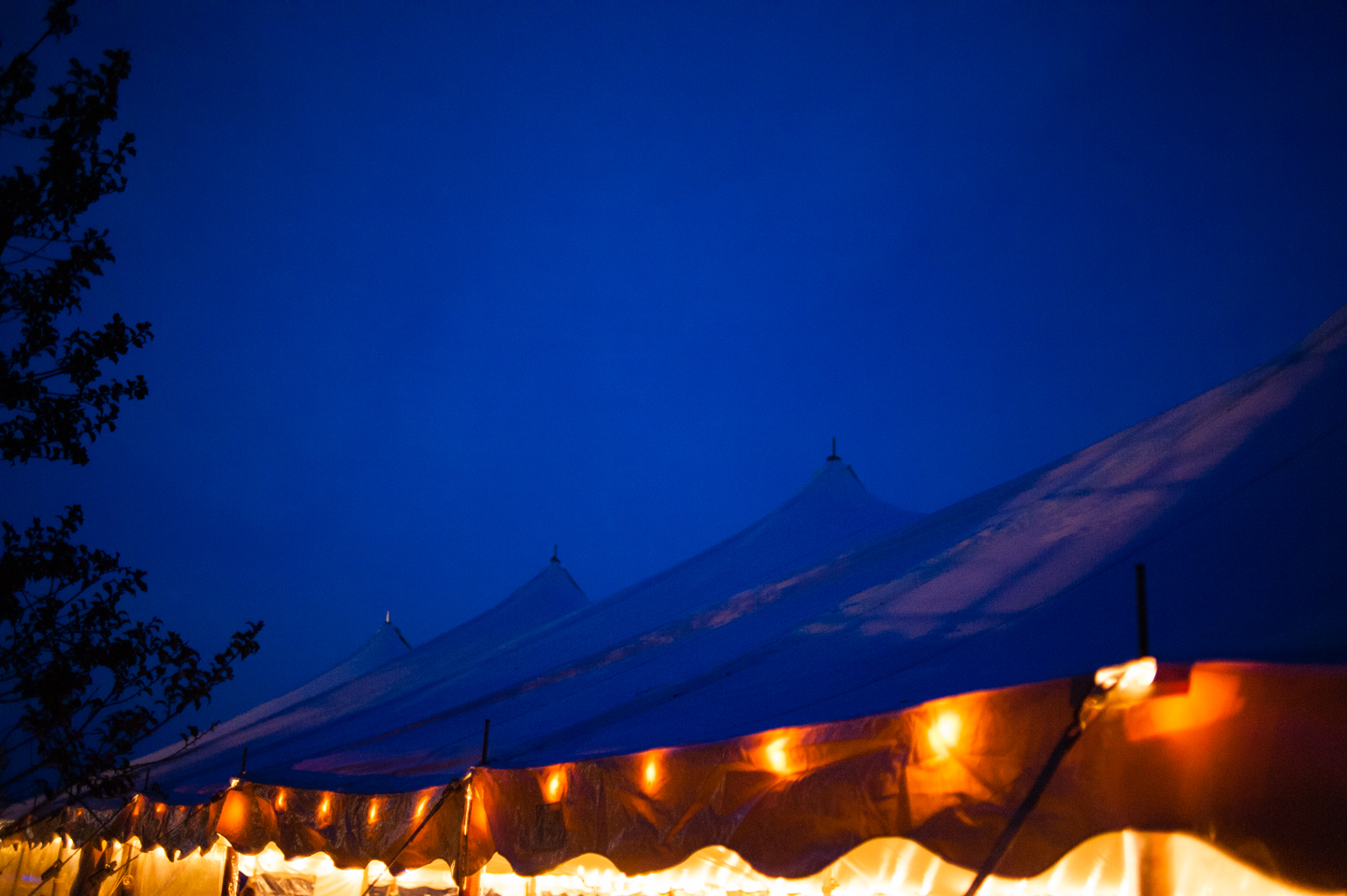 the reception tent all light up at night with twinkly lights