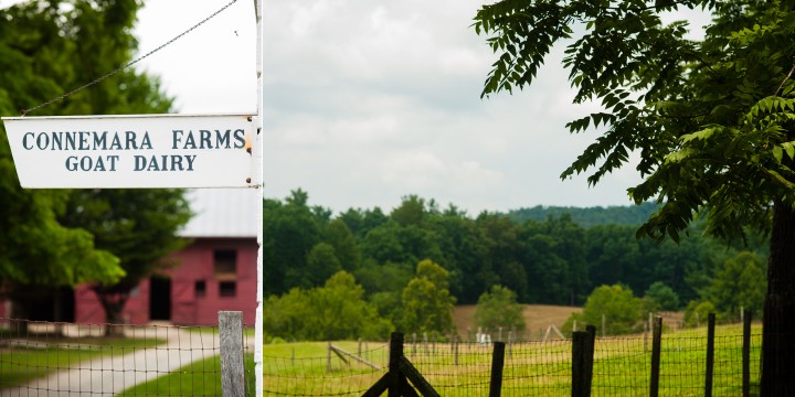 photograph of carl sandburg home goat barn during a family portrait session