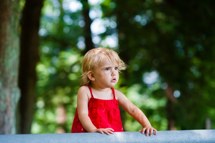 little girl looks into a field during her portrait session at the Carl Sandburg home