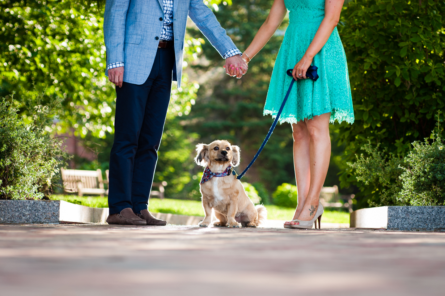 adorable puppy sits in between his owners during their outdoor engagement session