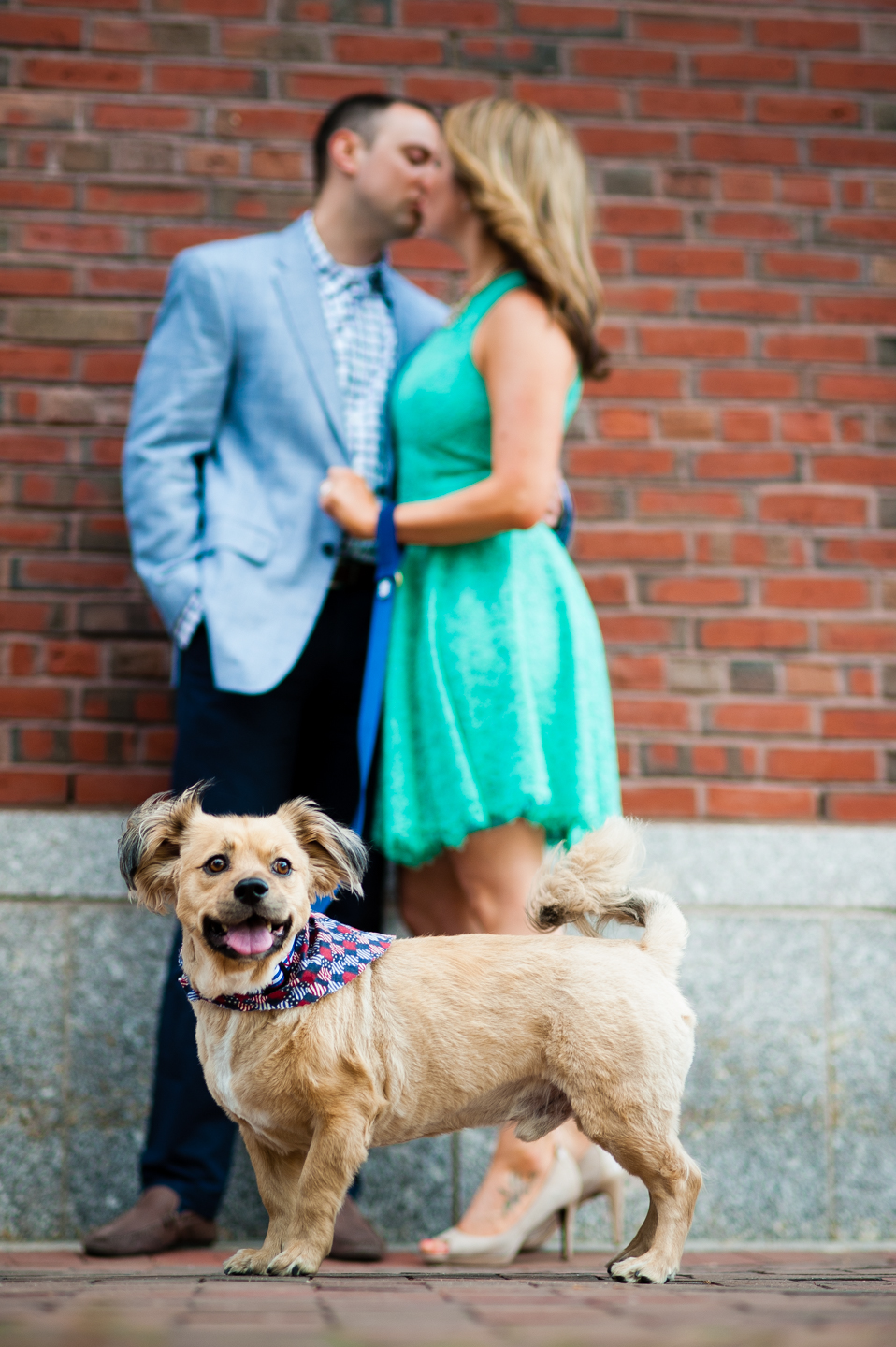 cute puppy is the center of attention with engaged couple kissing in the background