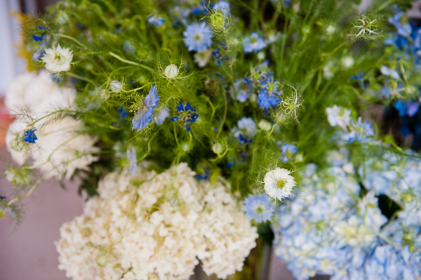 gorgeous flowers adorn Floras studio in west asheville