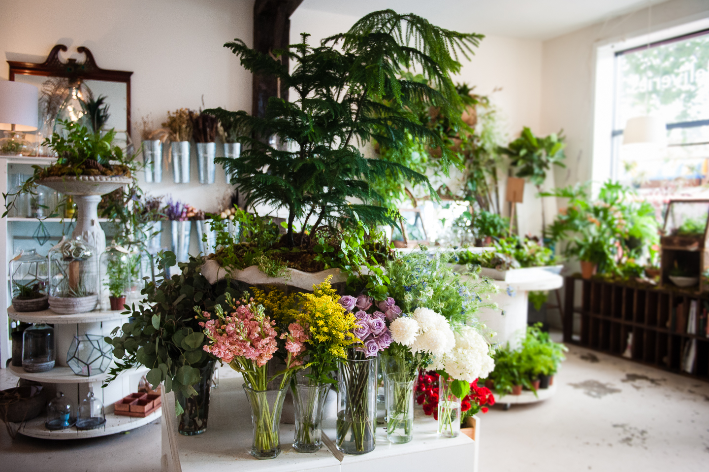 Floras storefront with gorgeous flowers adorning the space