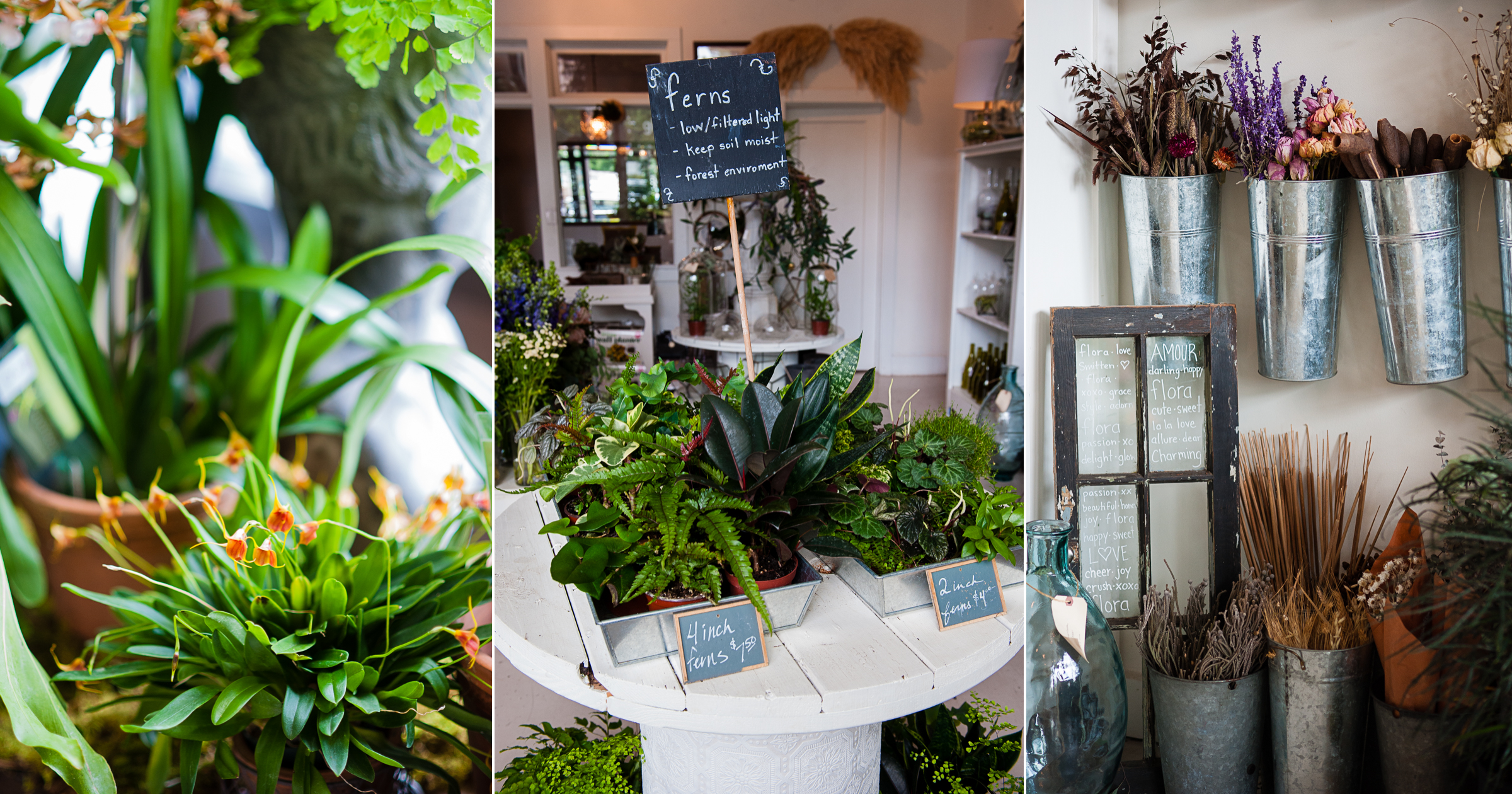 3 images of floras gorgeous storefront where plants and flowers are everywhere 