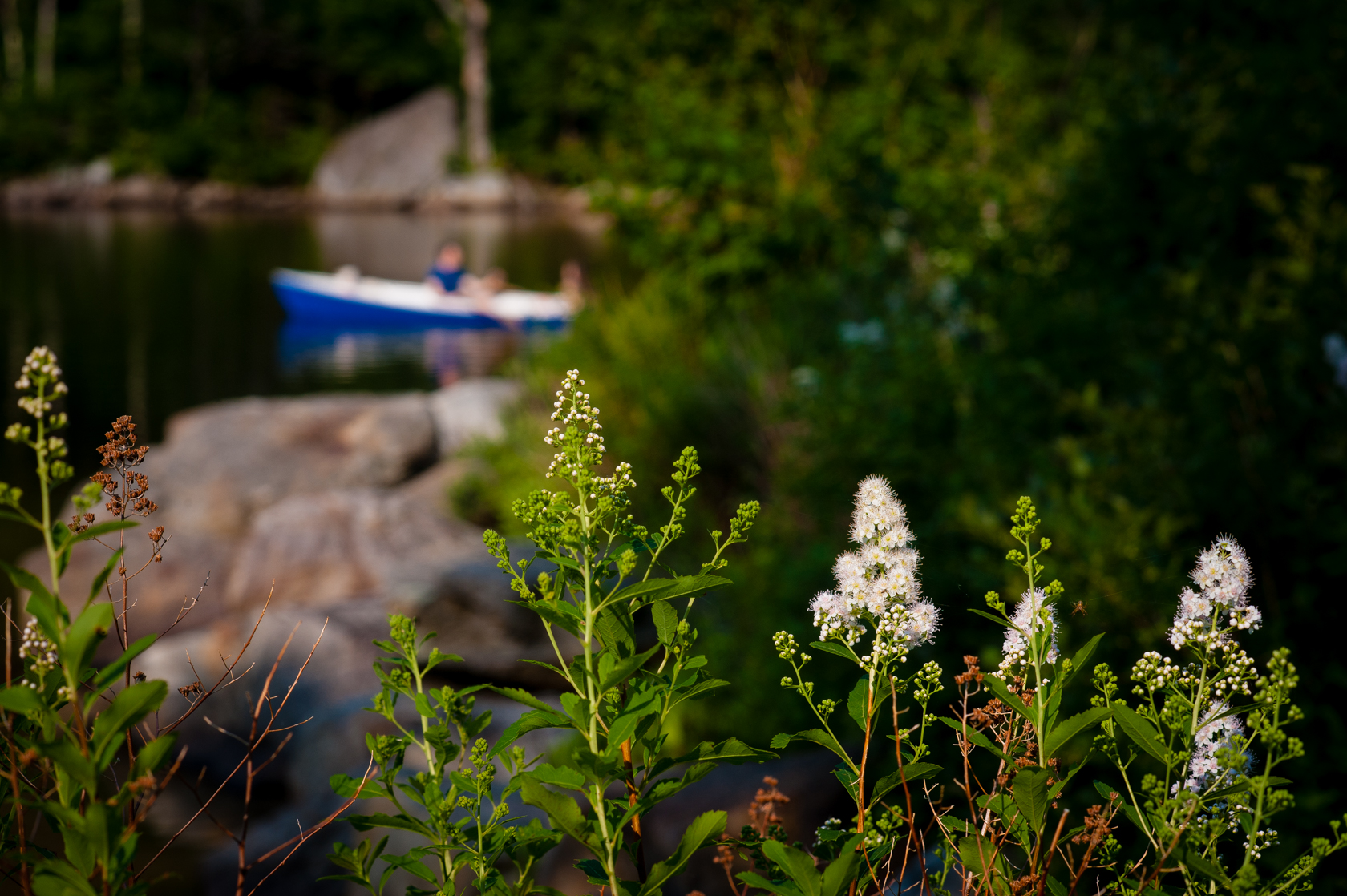 mountain lake rimmed with  beautiful white flowers were a perfect backdrop for this adventurous engagement session 