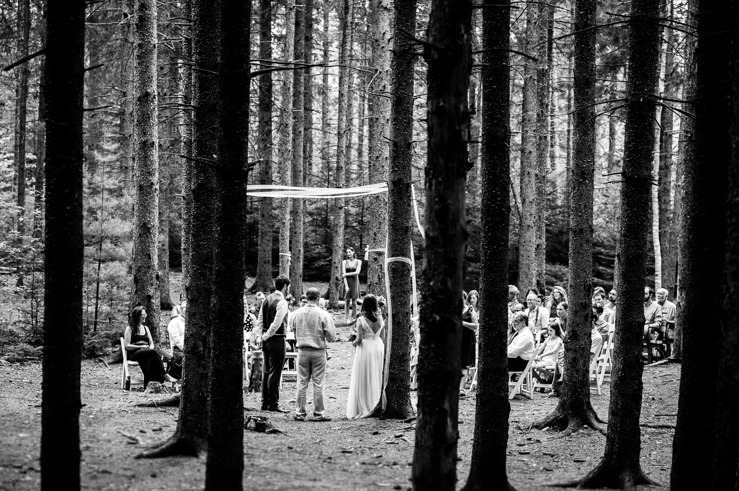 gorgeous old pine trees surrounded the wedding ceremony