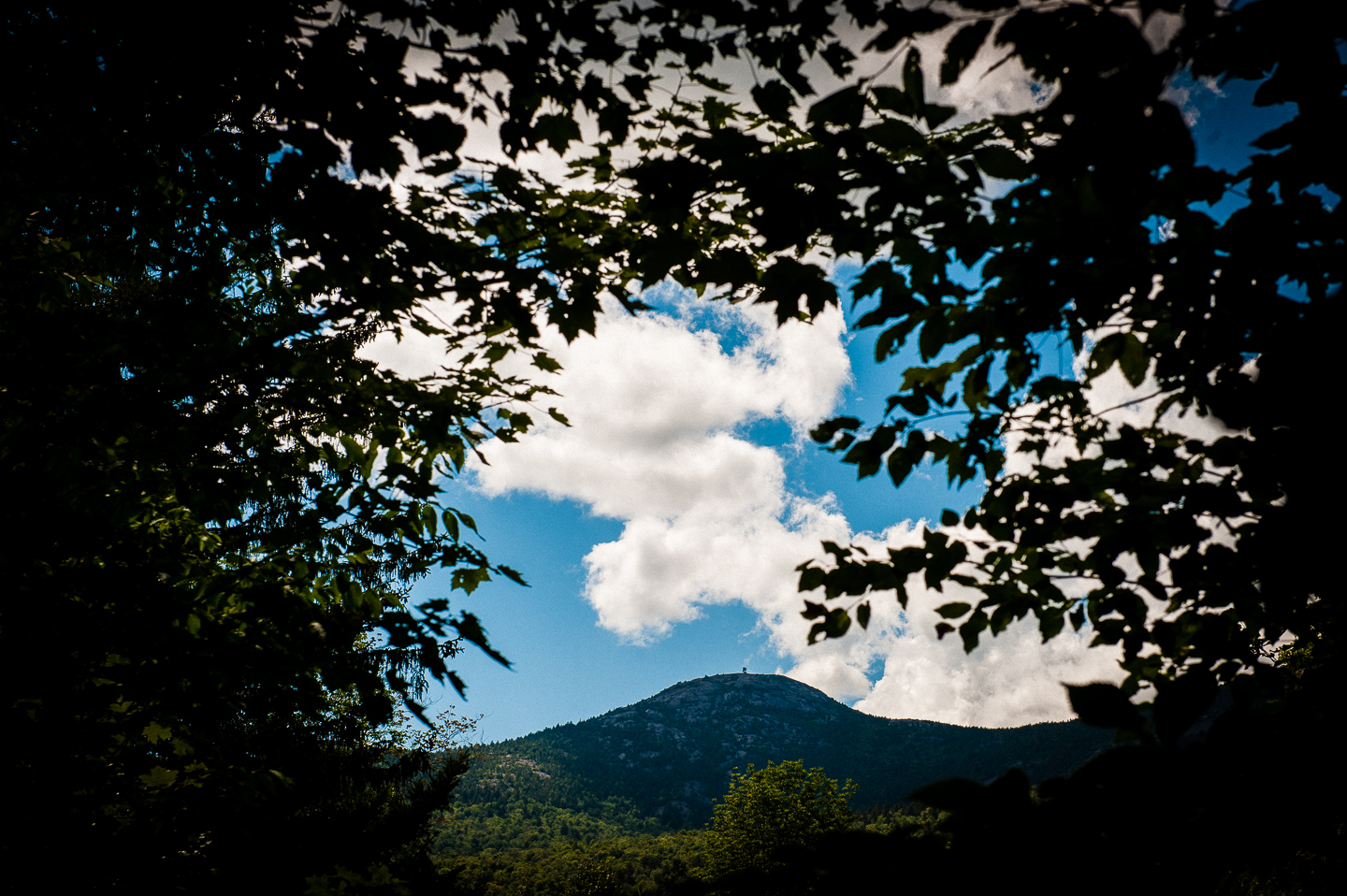 Cardigan mountain framed by trees was the backdrop for most of this gorgeous wedding day 