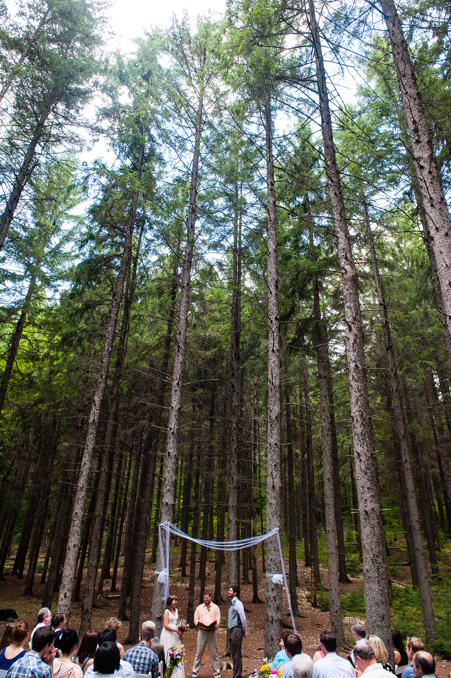 tall pine trees surrounded the bride and groom during their intimate forest wedding ceremony