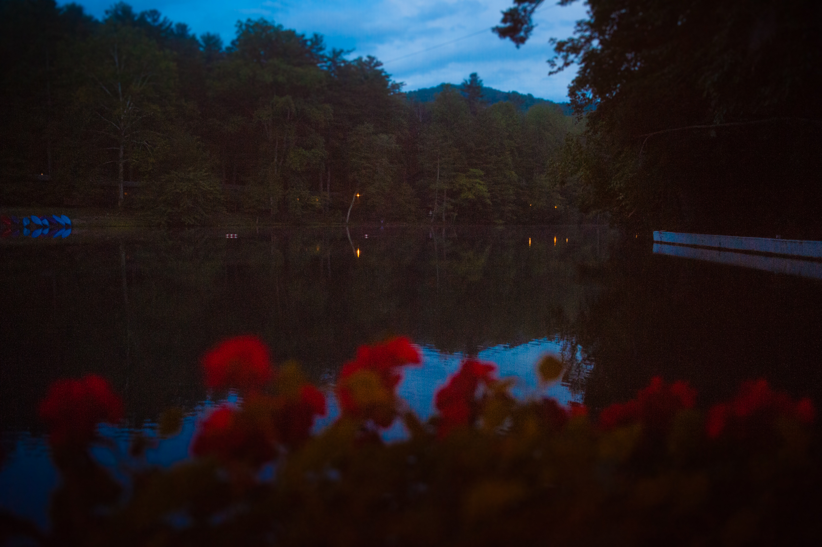 beautiful flowers line a gorgeous mountain lake at night 