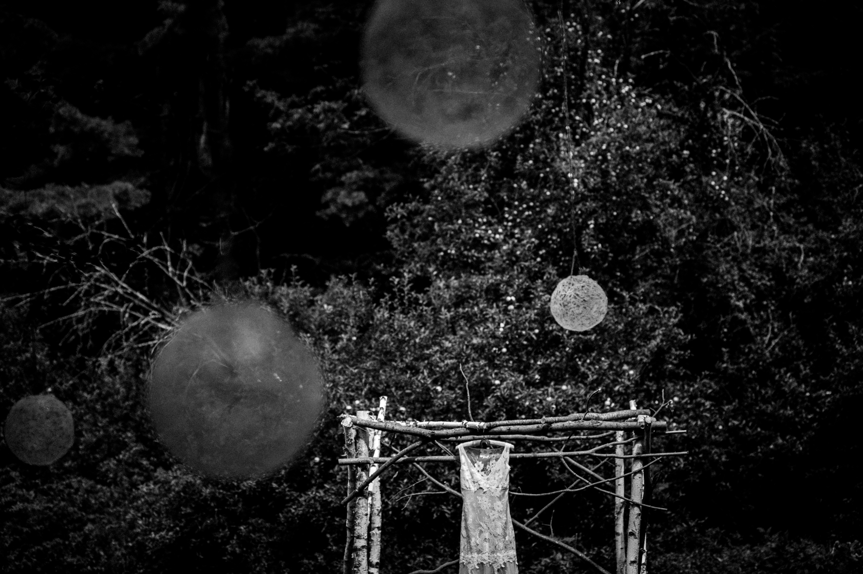 beautiful lace wedding gown hangs from a birch trellis