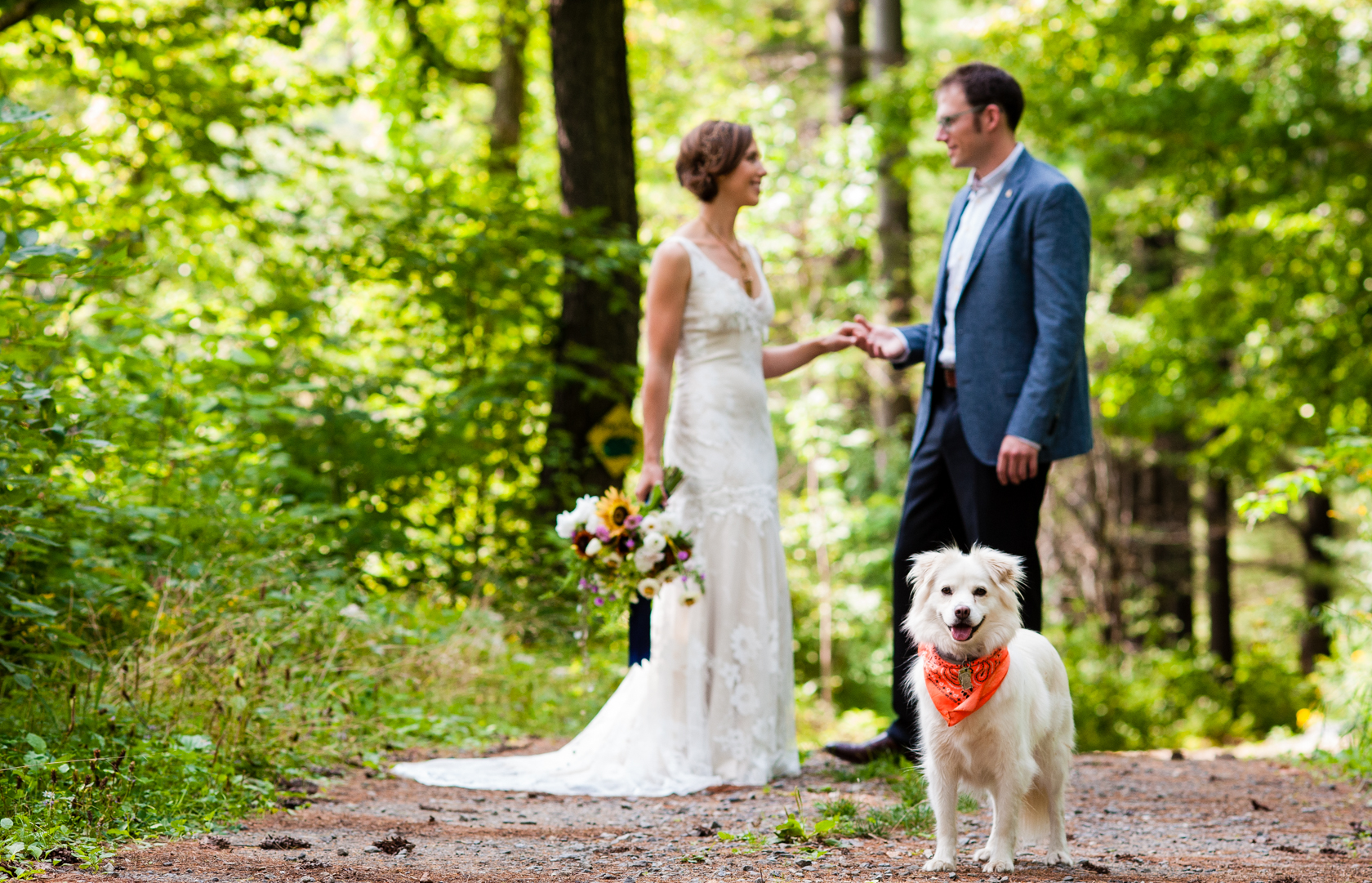 adorable dog stands on a wooded path with bride and groom