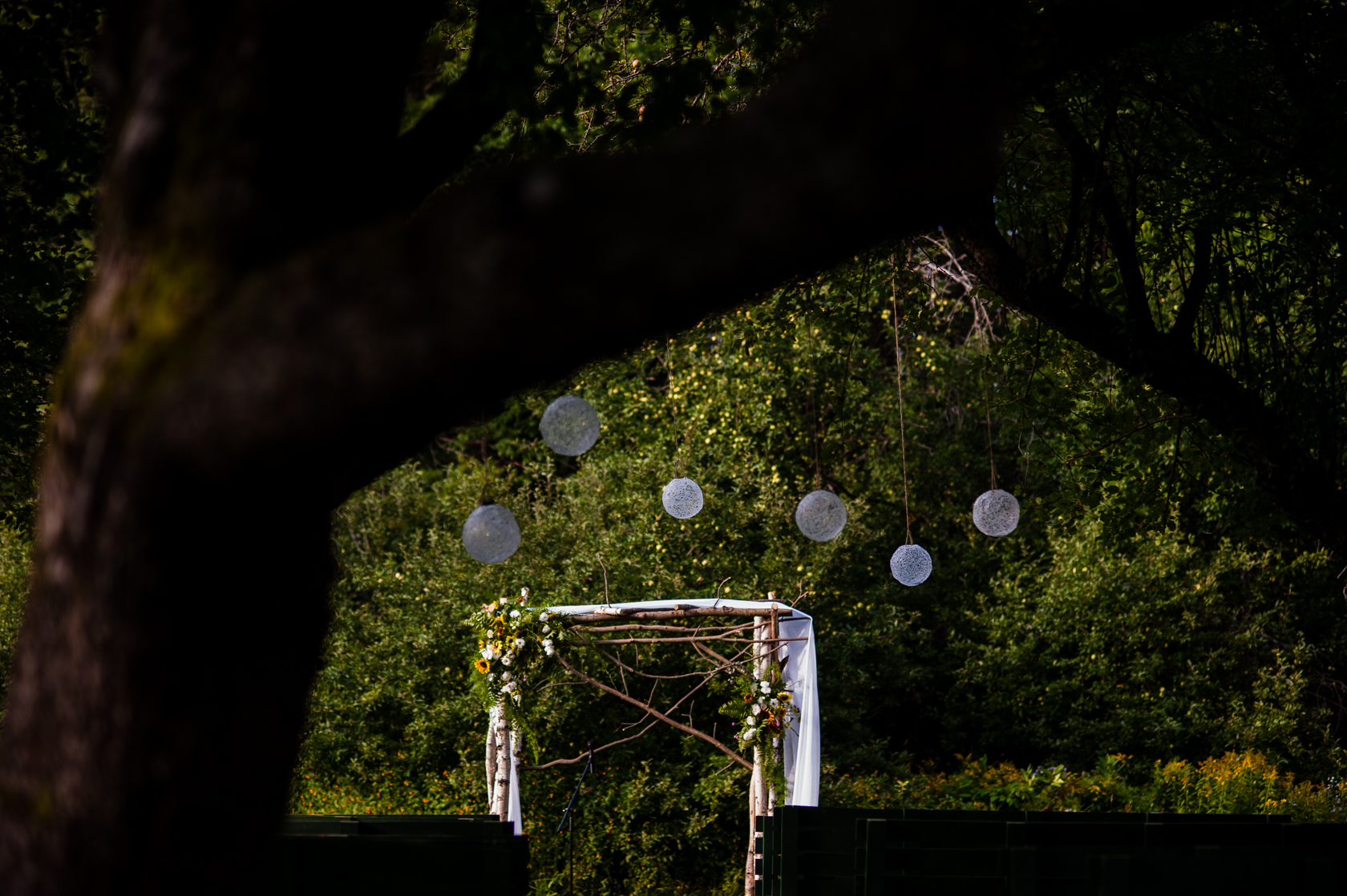 beautiful ceremony location under apple trees with beautiful handmade hanging globes