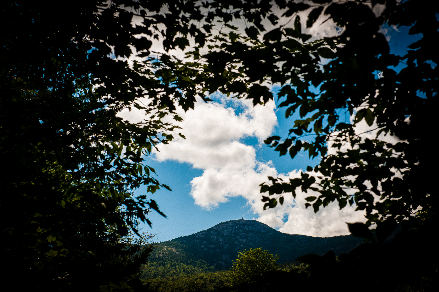 gorgeous cardigan mountain wedding 