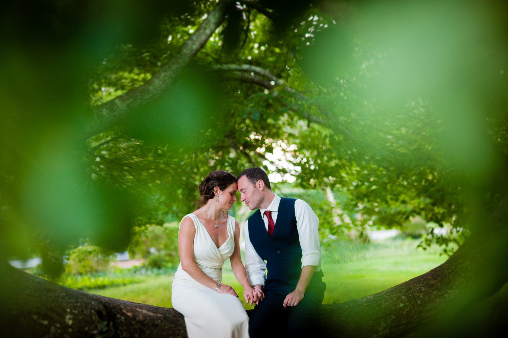 bride and groom embrace under big tree during outdoor wedding 