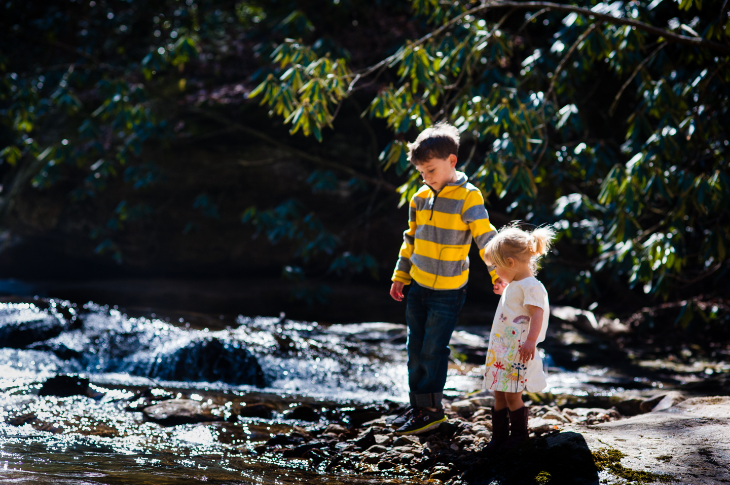 brother and sister hold hands during their family adventure session 