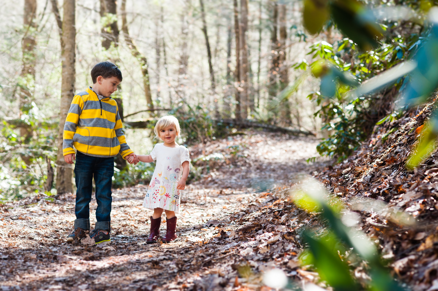 adorable kiddos hold hands on wooded path 