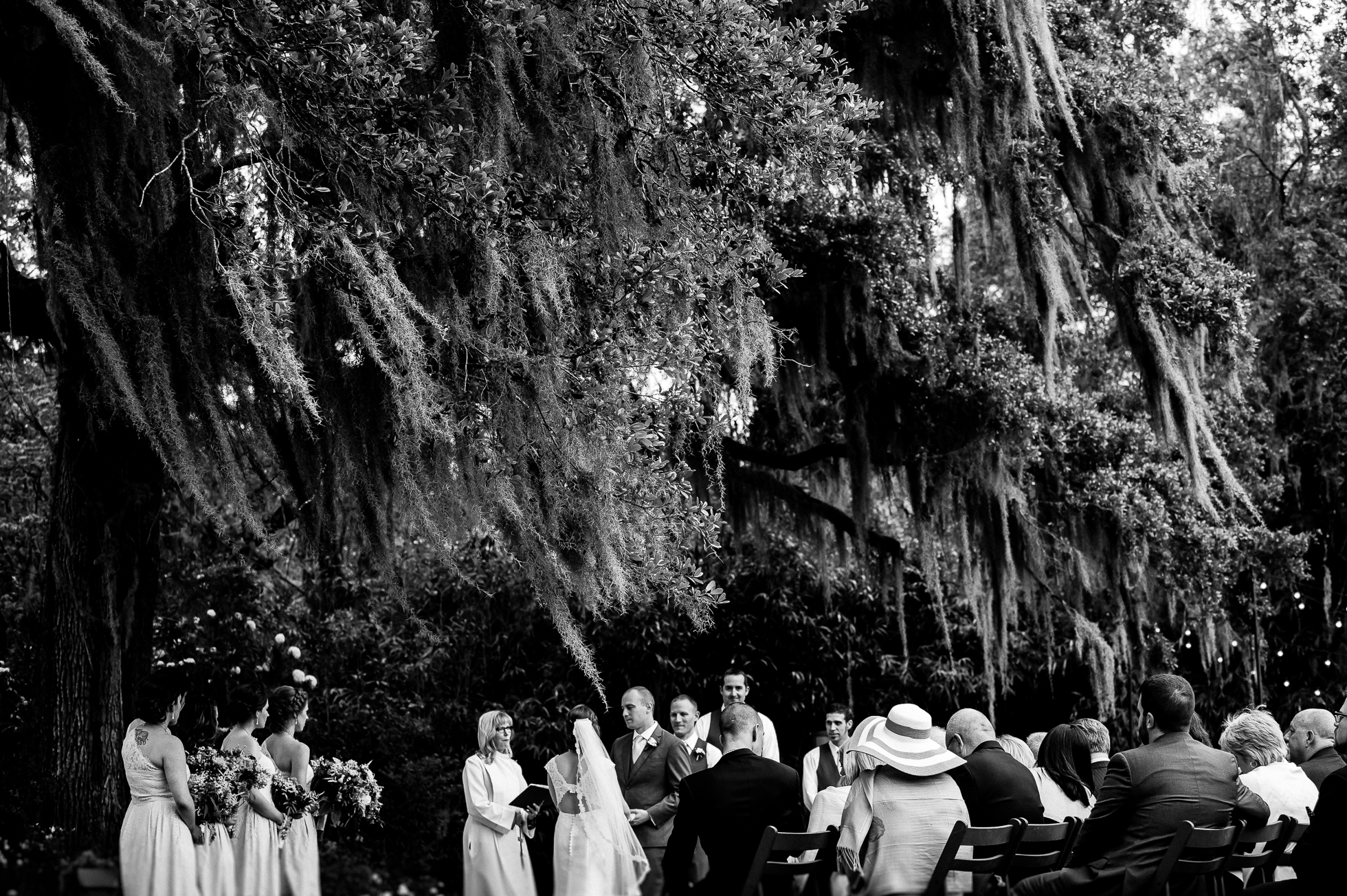 beautiful spanish moss framing a Magnolia Plantation wedding ceremony 