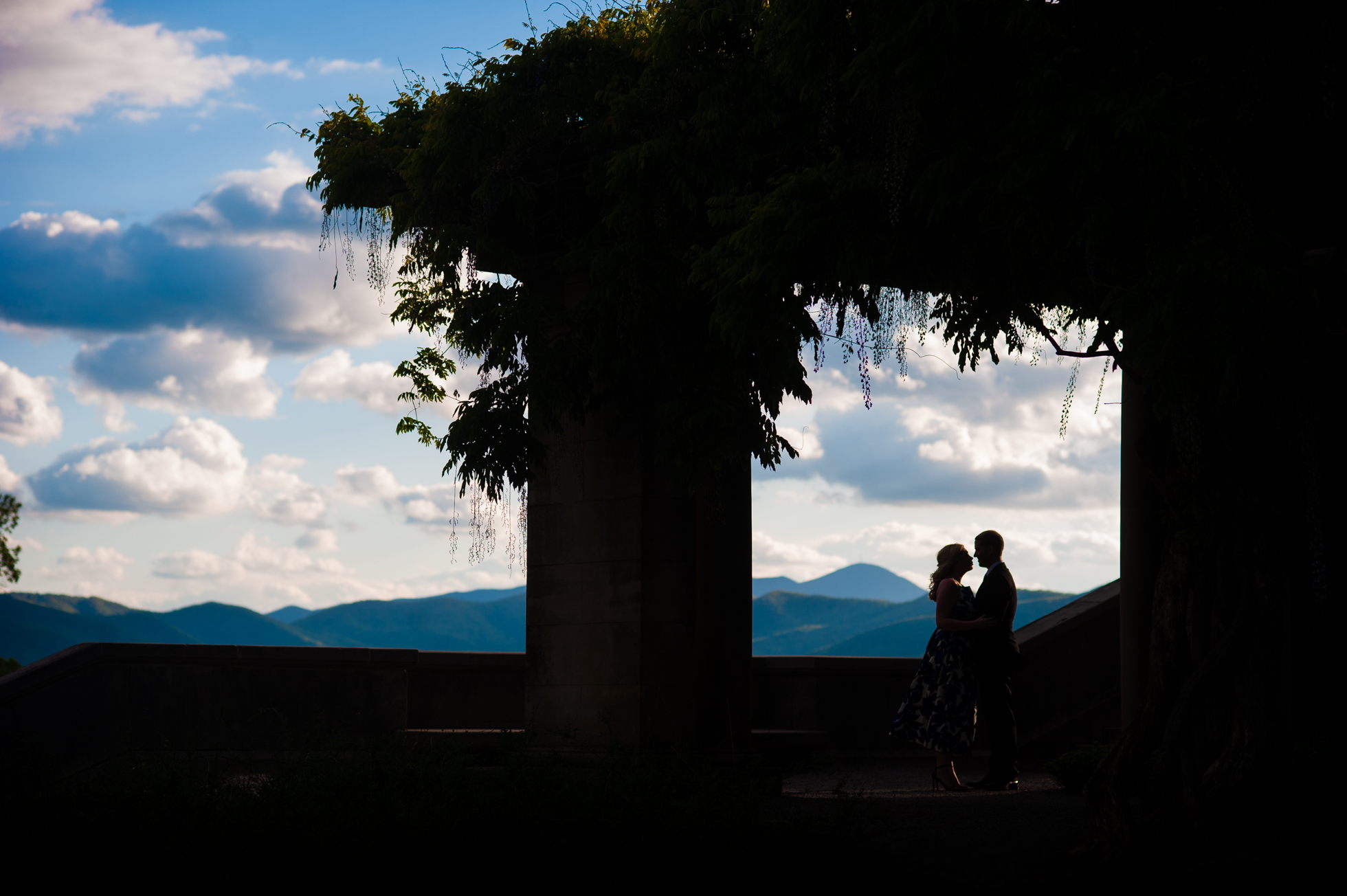 Biltmore estate wisteria silhouette of engaged couple