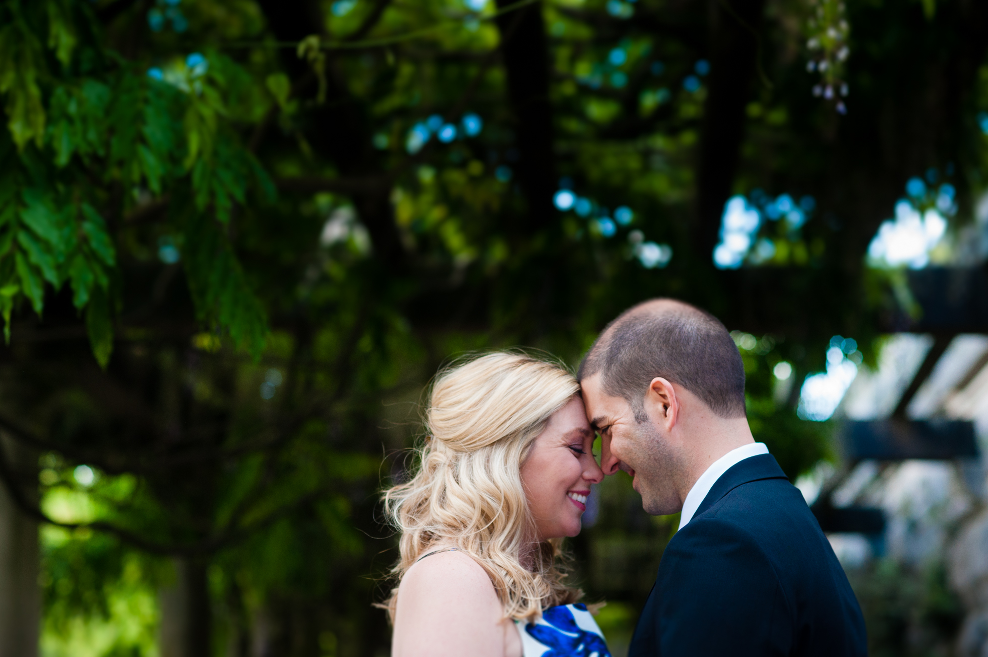 beautiful engaged couple underneath biltmore estate wisteria 