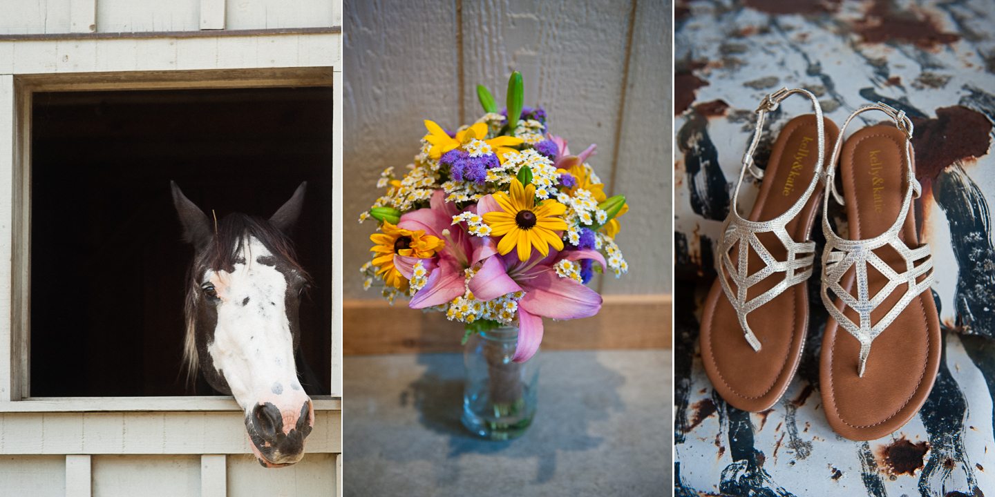 asheville wedding on a farm