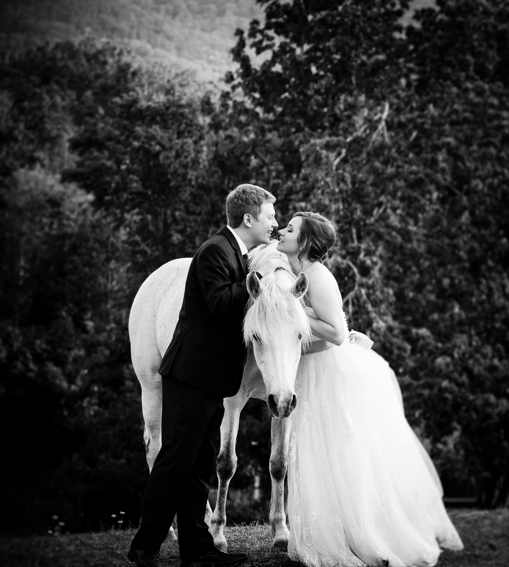 asheville equestrian wedding portrait