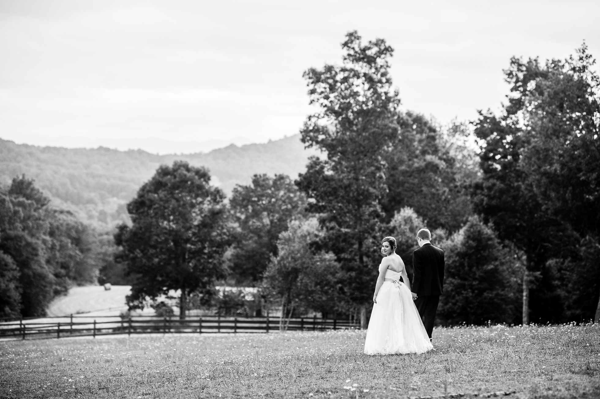 asheville wedding portrait in gorgeous field