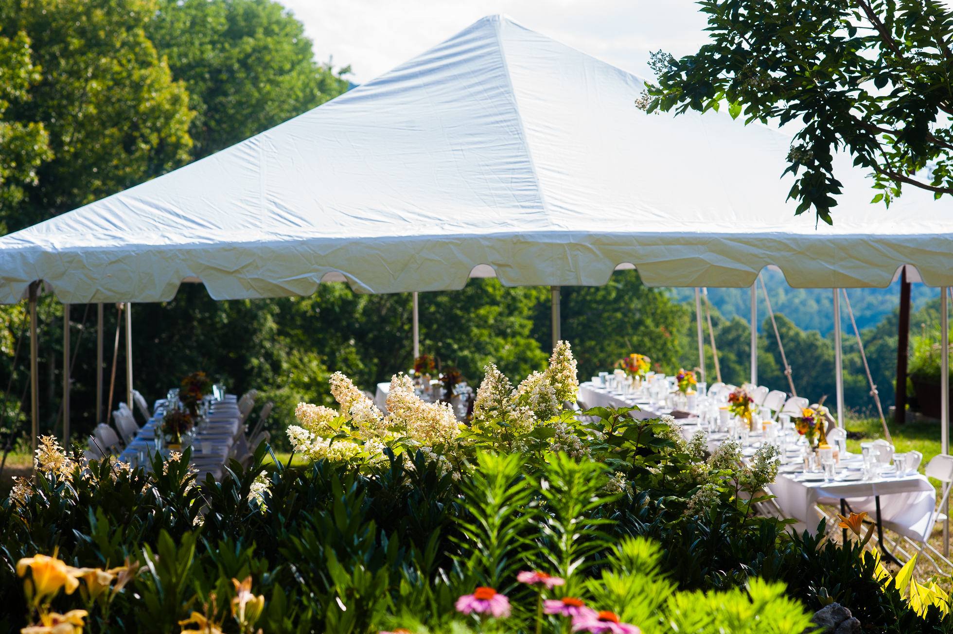 beautiful tented wedding in ashevilles blue ridge mountains