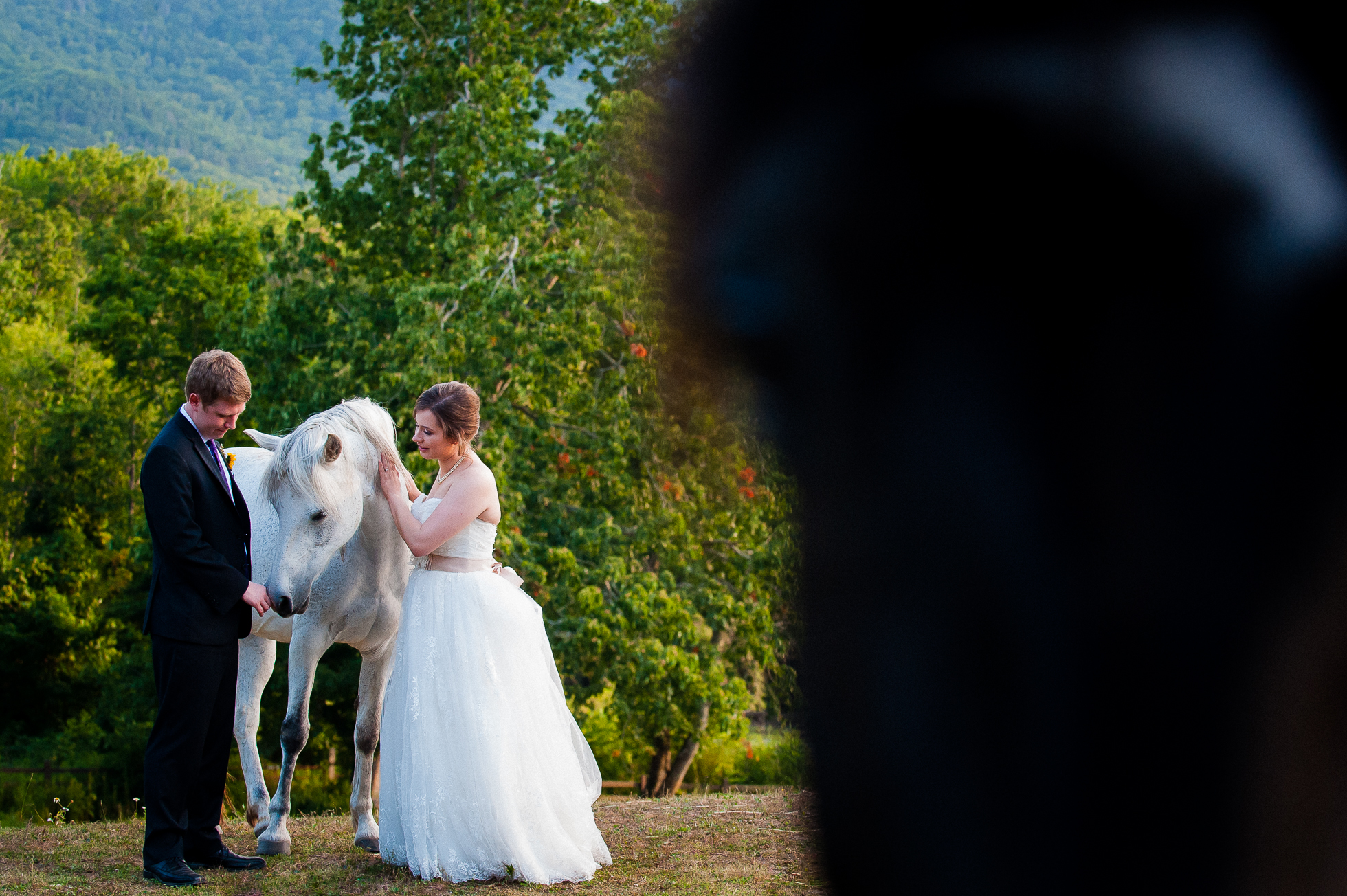 asheville equestrian wedding portrait