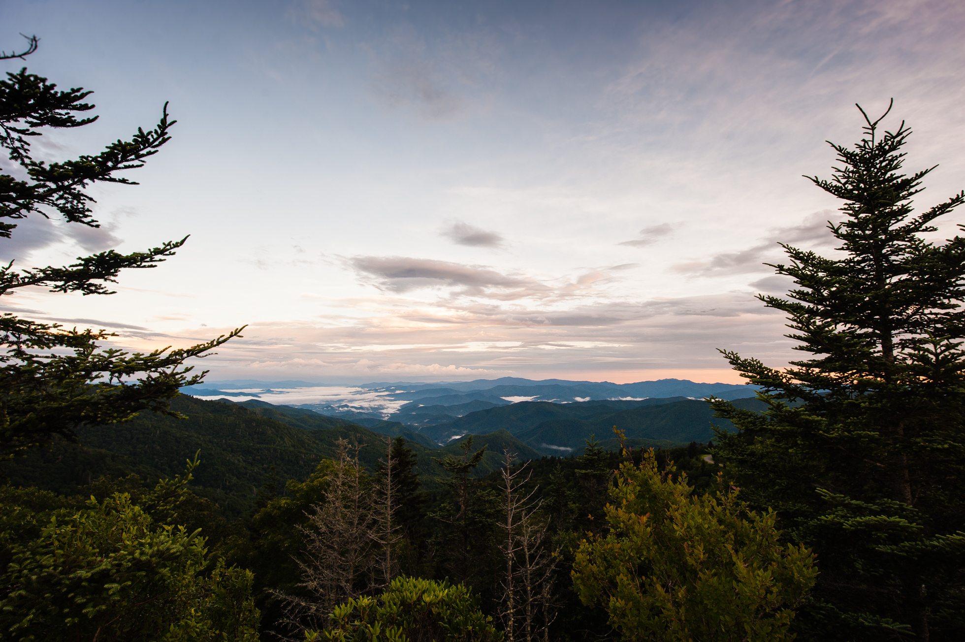 looking towards the great smoky mountains from waterrock knob 