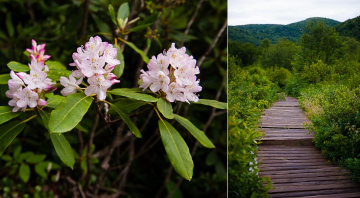 graveyard fields outside asheville nc 