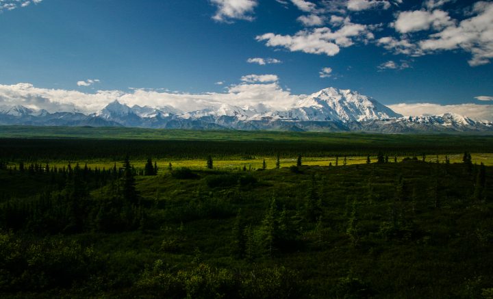 Denali wedding photographer