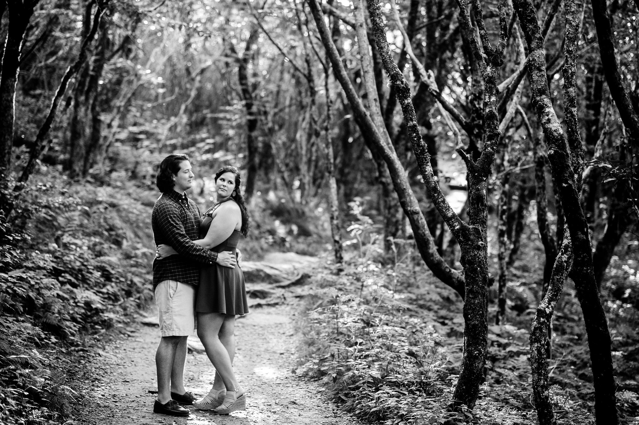 blue ridge parkway engagement session 