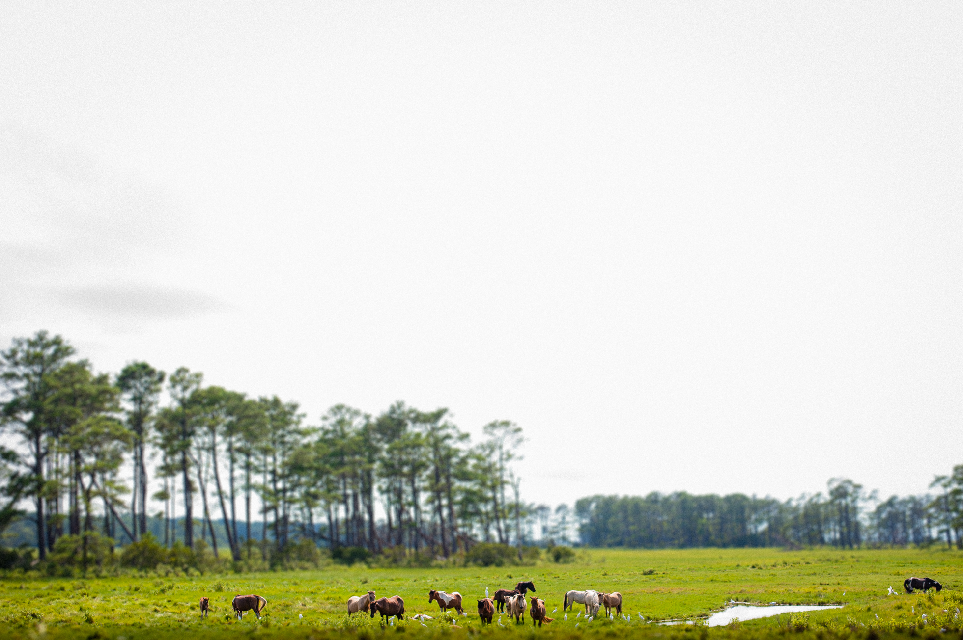 Asheville wedding photos for adventurous couples