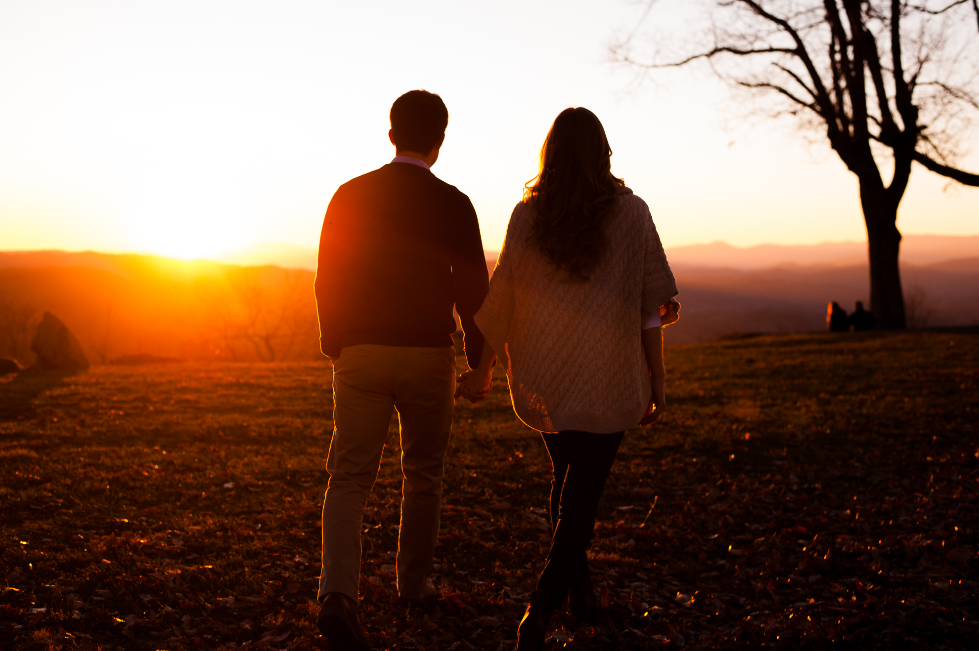 dupont waterfall engagement photo