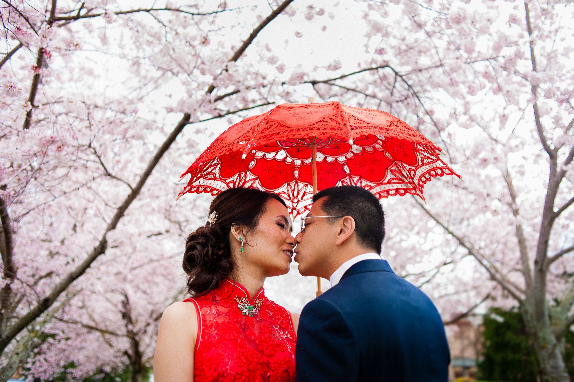 chinese wedding portrait under cherry trees