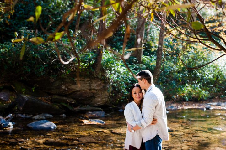 looking glass falls engagement session