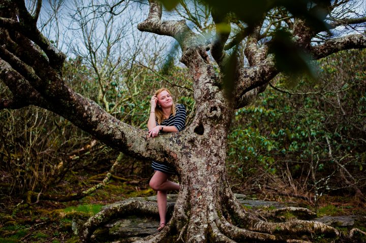 craggy garden senior portraits