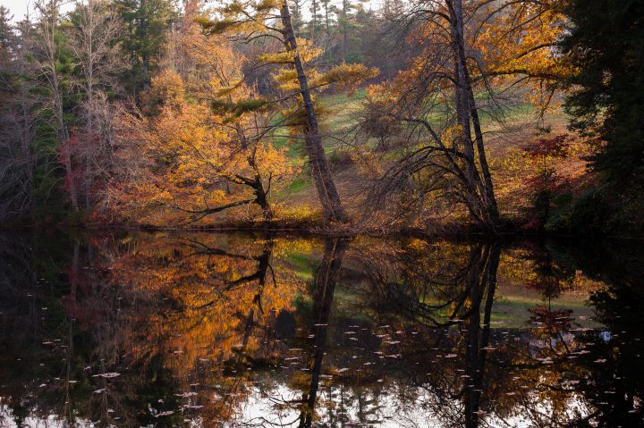 carl sandburg pond in flat rock nc during fall