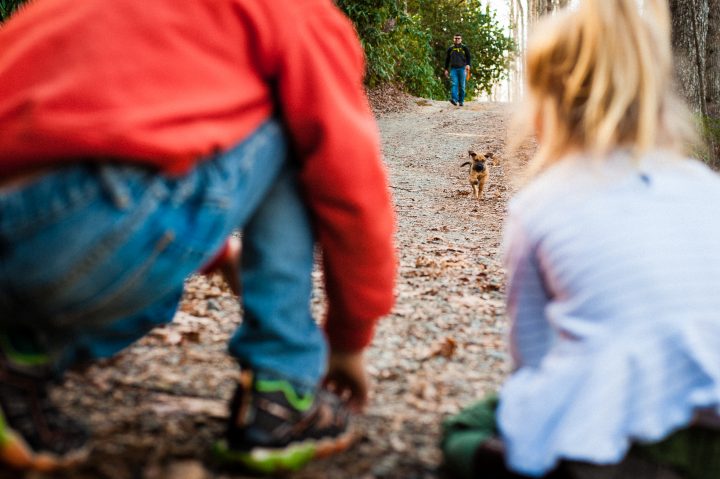 asheville family and pet photographer