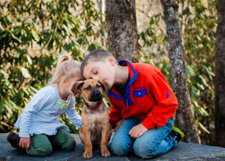 family and puppy love