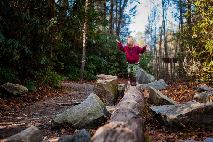 dupont state forest family adventure