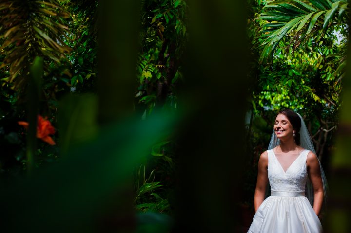 bridal portraits at the biltmore estate conservatory 