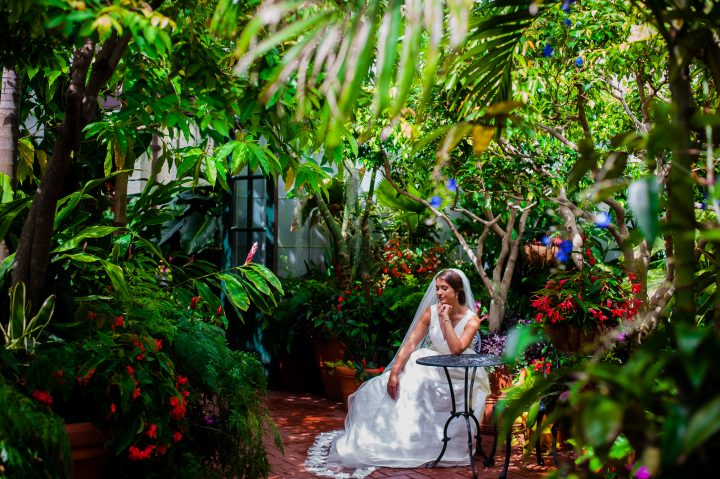 bridal portrait at the biltmore estate conservatory 