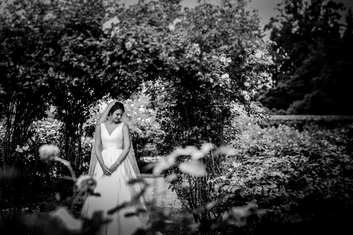 biltmore estate bridal portrait 