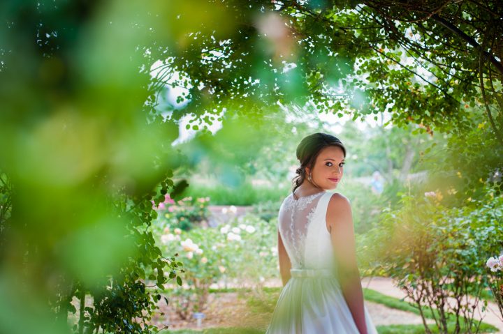 bridal portrait in the biltmore estate rose garden 