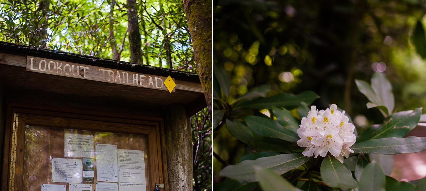 black mountain lookout trailhead 