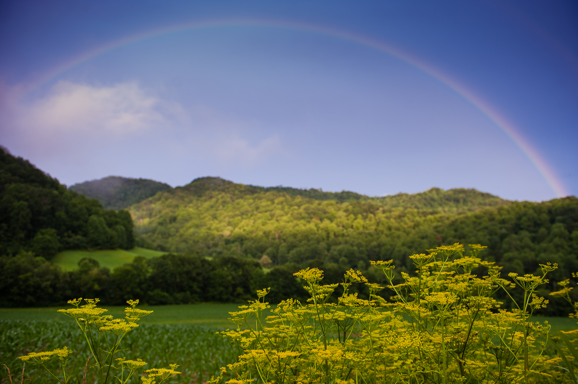 beautiful rainbow in the mountains 